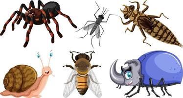 conjunto de diferentes tipos de insectos vector