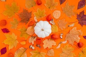 Autumn flat lay composition with white pumpkin photo