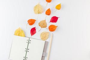 Notebook with flying dried flowers and leaves photo