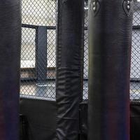 An octagonal kickboxing cage with boxing bags in the sports complex photo