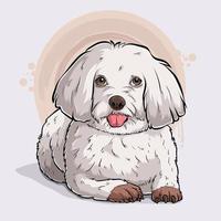 Hand drawn cute dog bread Maltese lying in full length isolated on white background vector