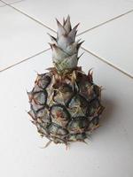 Young pineapples for photo attachments to fruit-themed articles.