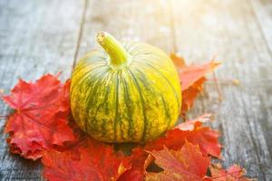 caída de otoño natural vista calabaza y hojas de arce sobre fondo de madera. papel tapiz inspirador de octubre o septiembre. cambio de estaciones, concepto de comida orgánica madura. fiesta de halloween día de acción de gracias. foto