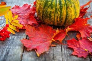 Natural autumn fall view pumpkin and maple leaves on wooden background. Inspirational october or september wallpaper. Change of seasons, ripe organic food concept. Halloween party Thanksgiving day. photo