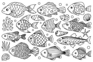 Underwater creatures bundle. Line art, outline fishes, shells and plants with black thin line. Cute sea fishes doodle line art, decorative, stylized illustrations for your design projects. vector