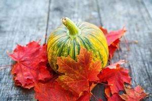 caída de otoño natural vista calabaza y hojas de arce sobre fondo de madera. papel tapiz inspirador de octubre o septiembre. cambio de estaciones, concepto de comida orgánica madura. fiesta de halloween día de acción de gracias. foto