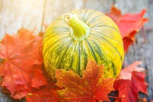 caída de otoño natural vista calabaza y hojas de arce sobre fondo de madera. papel tapiz inspirador de octubre o septiembre. cambio de estaciones, concepto de comida orgánica madura. fiesta de halloween día de acción de gracias. foto