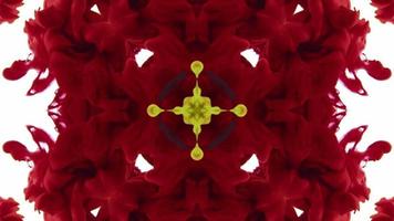 Wonderful Kaleidoscope Backgrounds Created From Colorful Ink Paint Spread video