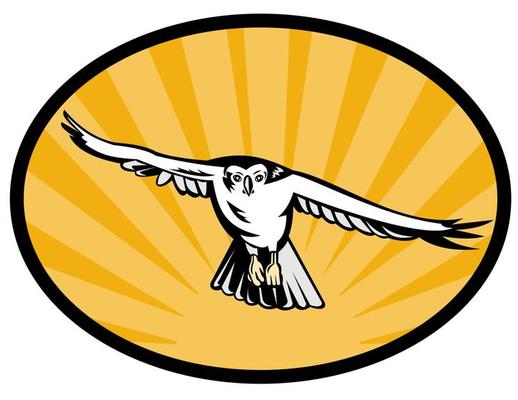 Swoop Vector Art, Icons, and Graphics for Free Download