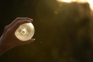 The Glass Sphere And Sunbeam photo