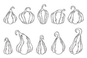 Pumpkins of various shapes sketch set vector