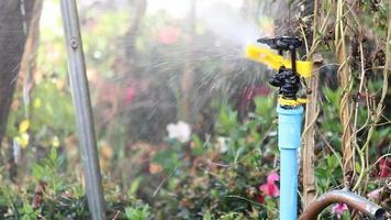 Water springer in garden video