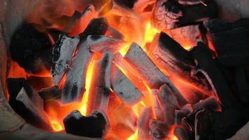 burning charcoal or fire prepared for cooking video