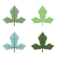 Maple leaf logo Template vector icon illustration design