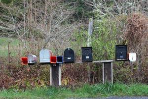 un buzón de correos en las zonas rurales de estados unidos con un telón de fondo de pinos y abetos. foto