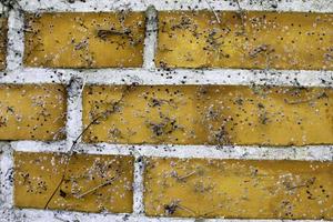 Detailed view at a colorful old and weathered brick wall texture as a panoramic background. photo