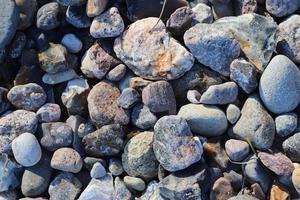 Beautiful stone pebbles at the beach of the baltic sea in the north of germany. photo