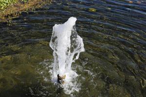 Decorative fountain in the city park. photo