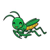 Cute little mantis cartoon character vector