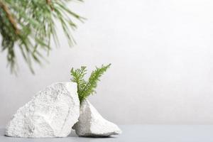 minimal stone podium for product presentation with pine branch and green grass. natural eco product display showcase. photo