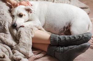 Legs of a young girl in cozy knitted socks photo