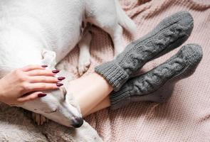 Legs of a young girl in cozy knitted socks photo