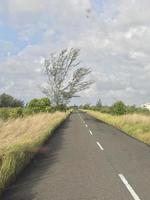 la vista de la carretera con hermosa hierba que se extiende a lo largo del borde de la carretera y nubes blancas que cubren foto