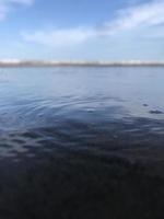 esta es una foto frente al mar que está desenfocada o también borrosa, que es adecuada como fondo