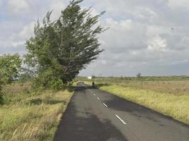 la vista de la carretera con hermosa hierba que se extiende a lo largo del borde de la carretera y nubes blancas que cubren foto