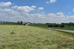 Beautiful Farmland in Western Pennsylvania Surrounded by Fields photo