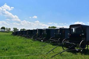 Horse Drawn Buggies Parked on a Farm in a Field photo