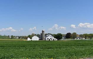 Field with Lots of Vegetation and White Barns and Silos photo