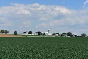 Lovely Farm with a Beautiful Fields Surrounding It photo