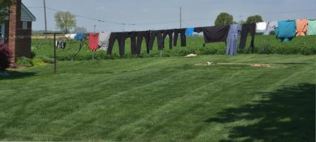 Clothesline with Laundry Hanging to Dry in Pennsylvania photo