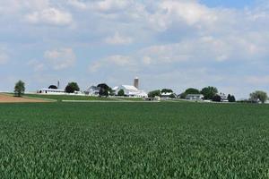 granja amish en el oeste de pennsylvania rodeada de tierra foto