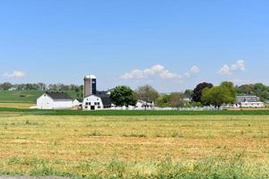 graneros blancos y silos rodeados de campos foto