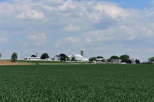 Farmland in the Countryside with Gorgeous Fields photo