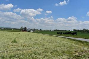 Road Winding Through the Countryside and Farmland photo