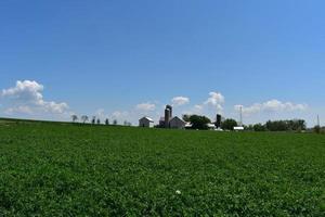 hermosa granja con exuberantes campos verdes en un día de primavera foto