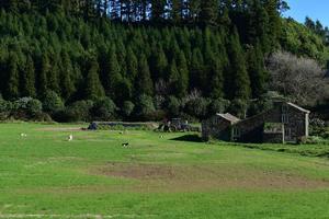 antigua casa de campo en sao miguel en portugal foto