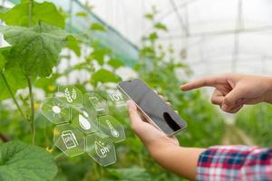 internet de las cosas, iot con concepto inteligente de agricultura. la agricultura y la tecnología moderna se utilizan para gestionar los cultivos. controlar la producción para que sea eficaz en la solución de los problemas productivos. melón de negocios foto