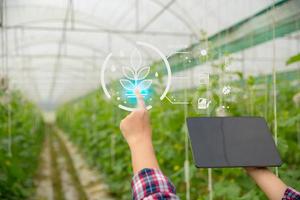 internet de las cosas, iot con concepto inteligente de agricultura. la agricultura y la tecnología moderna se utilizan para gestionar los cultivos. controlar la producción para que sea eficaz en la solución de los problemas productivos. melón de negocios foto