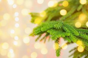 Closeup Christmas tree with bokeh light background photo