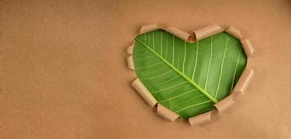 Environmental and Health Care Concept. Green Leaf in Shape of Heart. Green Energy, Renewable and Sustainable Resources photo