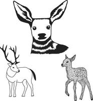 ilustración vectorial de ciervos vector
