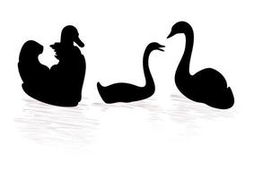 Swans floating silhouettes design vector