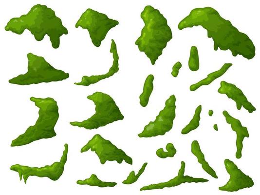 Swamp moss of different shapes. Forest lichen. Illustration for computer games.