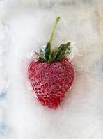 strawberry frozen in ice photo