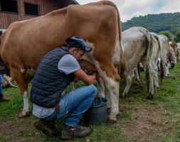 Bergamo italy 2022 Livestock Fair, the largest cattle show in the Bergamo valleys photo