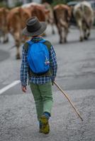 Young farmer following the herd photo